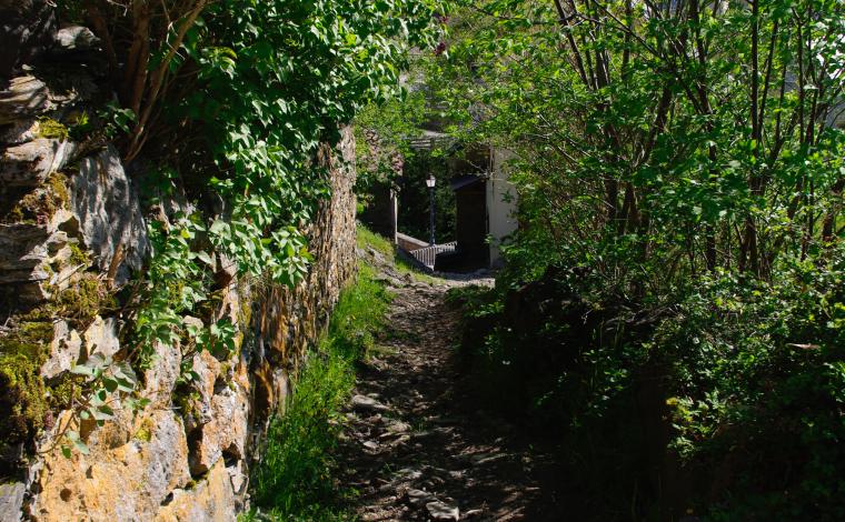 el sendero para llegar a la casa